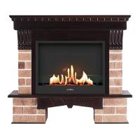 Биокамин в портале SteelHeat RS, стекло Биокамин в портале SteelHeat RS, стекло