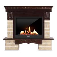 Биокамин в портале SteelHeat WS, стемалит Биокамин в портале SteelHeat WS, стемалит